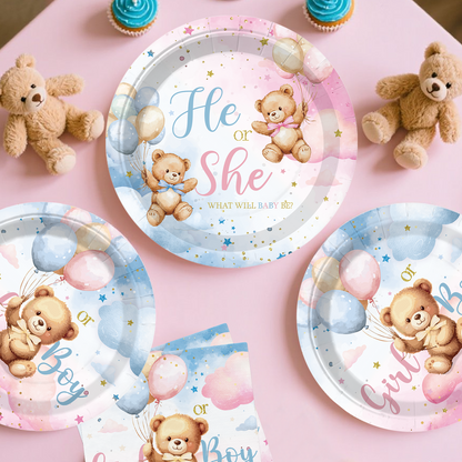 Cocomigo Bear Gender Reveal Decorations For 20 Guests